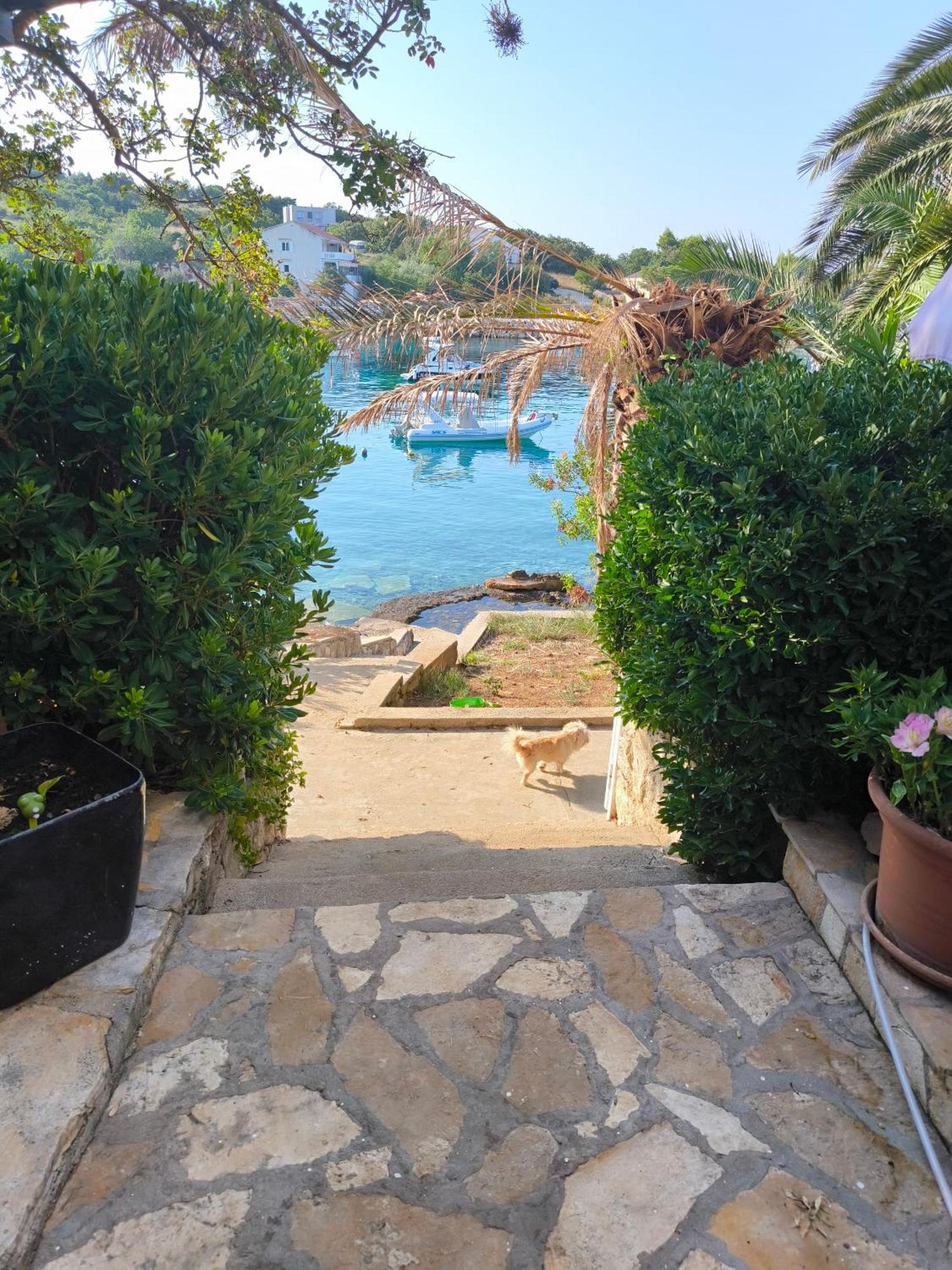 Apartments Anica Beber Borovići Екстериор снимка