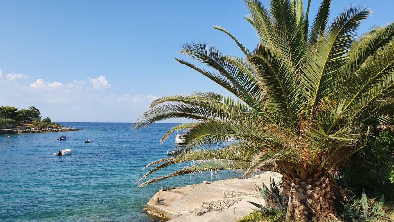 Apartments Anica Beber Borovići Екстериор снимка